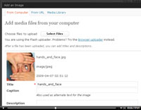 images in wordpress