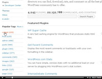 manually installing wordpress plugins