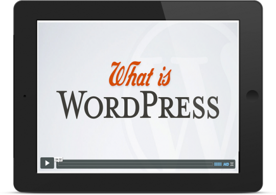 Learn WordPress