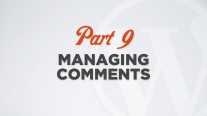 Managing Comments