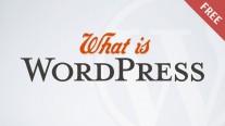 What is WordPress