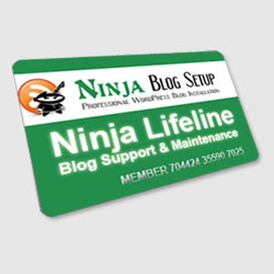 Blog Tech Support - Monthly Plan